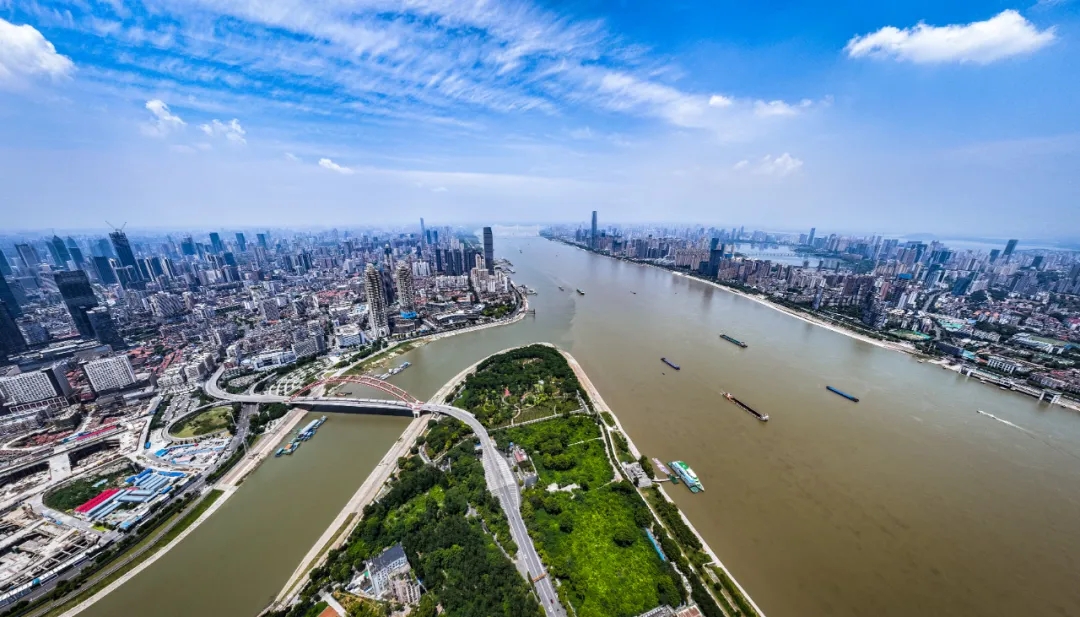 11465_k1ni_2281.webp
