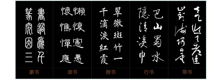 6768_3yh9_6770.webp